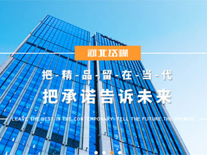 河北岱嶸建設(shè)有限公司，與我公司簽署網(wǎng)站建設(shè)合同